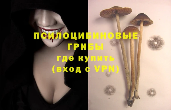 гашиш Заводоуковск