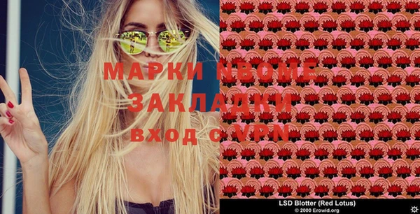 шишки Ладушкин